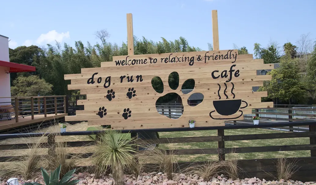 ドッグランの写真2