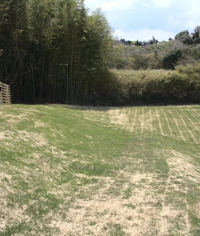 ドッグラン6